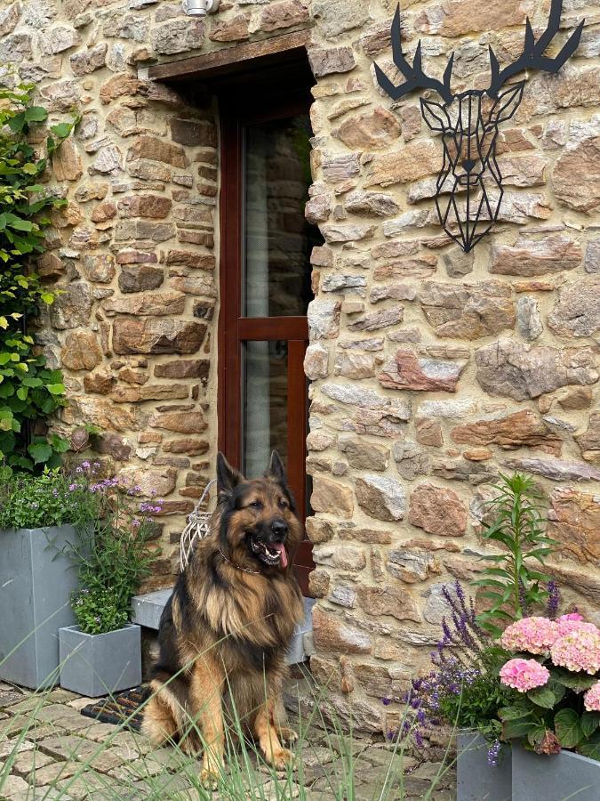 Le Brâme du Cerf Villa Theux Exterior foto